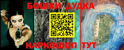 индика Усть-Илимск
