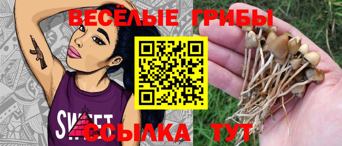 Баксан  Галлюциногенные грибы ЛСД  Вход с VPN  Псилоцибиновые грибы Magic Shrooms 