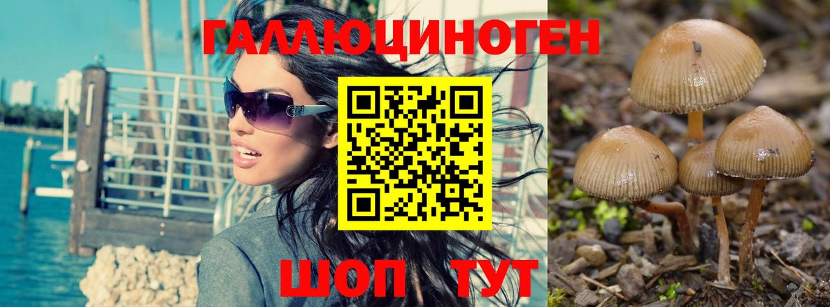 Псилоцибиновые грибы ЛСД Баксан